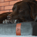 Hectolove - Smart Ross Materac Ortopedyczny Dla Psa