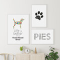 Zestaw plakatów - Parson Russell Terrier