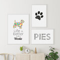 Zestaw plakatów - West Highland White Terrier