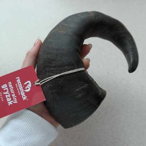 Recosnack - Buffalo Horn Gryzak z Rogu Bawoła